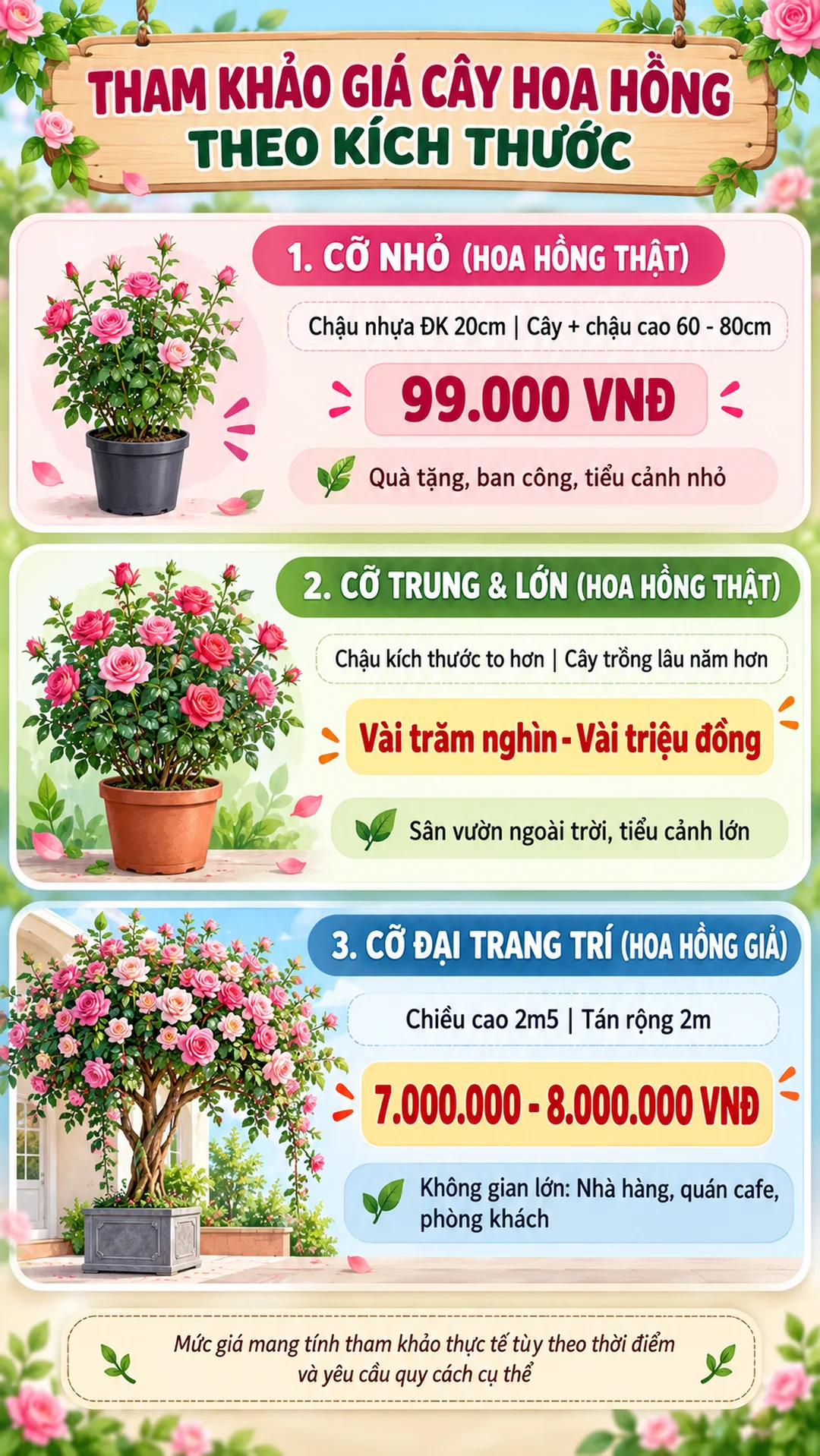 giá cây hoa hồng theo kích thước